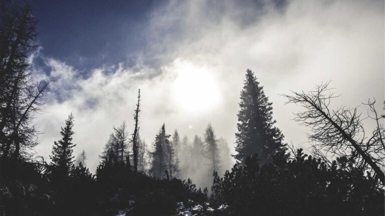 How To Register On Cricbet99 Vip Club Official Site?